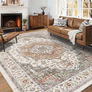 5x7 Area Rugs for Living Room Ultra-Soft Washable Rug Vintage Distressed Boho Area Rug, Non-Slip Retro Print Low Pile Stain Resistant Carpet for Bedroom Dining Room Kitchen Office
