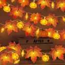 2 Pack & Timer Thanksgiving Decorations Fall Garland with Pinecone Pumpkin Lights Thanksgiving Garland Total 13 Ft 60 LED Enlarged Maples Leaves Garland Fall Lights Battery Operated for Home Christmas
