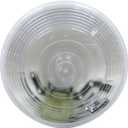 Peterson Manufacturing 415 Clear 4" Back-Up Light (4.0 inches)