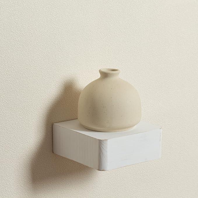 Freezing point Small Floating Shelf,Mini Wall Shelves for Kitchen Bedroom Living Room Bathroom Wall Decor Plant Display Collectibles Corner Decorative Storage Tiny White