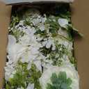 DearHouse 2Pack Artificial Peony Flower Garland - Silk Peony Garland With White Flowers for Wedding Party Table Decoration,6ft/Strand