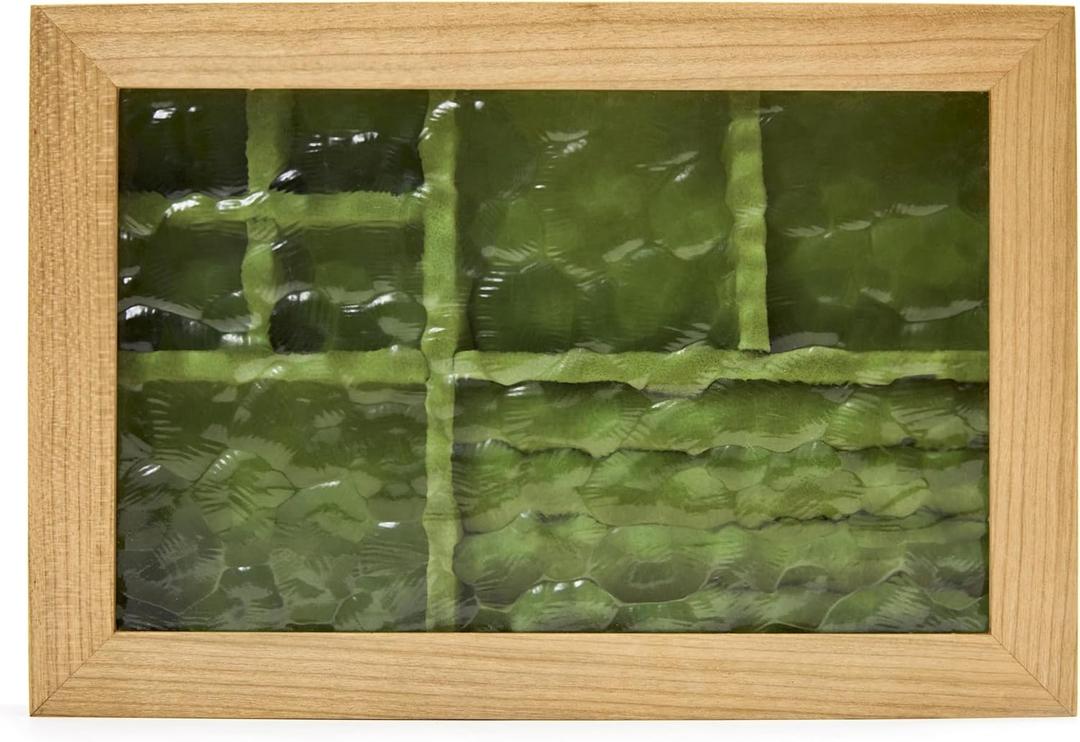 Pandapark Wooden Jewelry Box with Glass Lid, Multi-Compartment Storage Display Case, Walnut Green