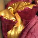 Lenwen 5 Pcs Dragon Plush Toys 16 Inch Stuffed Mommy Dragon Plush with 4 Babies in Zippered Belly for Kids Boys Girls Birthday Gifts Classroom Award Christmas Stocking Stuff