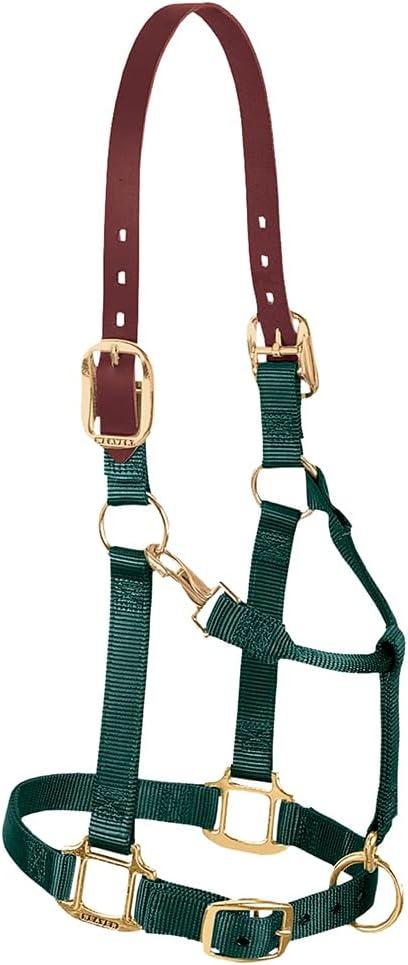 Weaver Equine Breakaway Horse Halter, Supple Leather Crown, Adjustable Brass Throat Snap Halters for Horses, Equine Tack (Hunter Green)