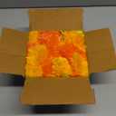 Marubhumi 5 PC - 5 feet Artificial Marigold Flower Garland  Long Strands for Diwali, Wedding & Festive Decoration  Traditional Indian Home Decor (Mango/Orange)