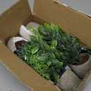 FAVOWREATH 4 Pack Fake Plants Ceramic Mini Artificial Greenery Potted Plants for Home Decor Office Decor Room Decor Farmhouse Decor Indoor Table Bathroom Decor (Grey)