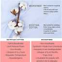 Crown Collection Silver Solid Free Size Pillow Shams Set of 2 - Hypoallergenic 500-TC 100% Egyptian Cotton Decorative Tailored Poplin Pillow Cover (Silver, Emperor/Oversize 20'' x 40'') (King / Cal-king 20x40")