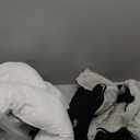 BurgeonNest Dog Car Seat for Medium/Large Dogs Under 55 lbs, Soft Pet Car Travel Home Bed, Fully Detachable and Washable Booster Carseats with Storage Pockets and ClipOn Leash Portable Carrier,Black