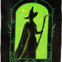 Collectibles Wicked Elphaba Bedding Super Soft Cozy Throw, 46 in x 60 in, (Officially Licensed Product) by Franco