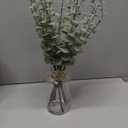 VIERENA 17.5" Artificial Eucalyptus Stems in Glass Vase with Faux Water,Fake Plant Eucalyptus Leaves White Seeds for Centerpiece Table Decorations Farmhouse Wedding Home Greenery Decor (Sage Green)