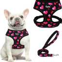 PUPTECK Soft Mesh Dog Harness and Leash Set Pet Puppy Cat Comfort Padded Vest No Pull Harnesses Valentine, Black & Pink, M (M (NECK: 14", CHEST: 17"-21"))