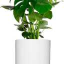 Elly Dcor 12 inch Round Cylinder Plastic Planter with Drainage, Round Classic Smooth Texture, Lightweight & Extremely Durable 12" x 12" Cylinder Pot White