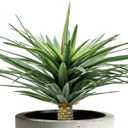 Saki Dcor Artificial Agave Plant - 24 Inch UV Resistant Faux Agave Succulent for Outdoor Patio & Garden - Lifelike Medium Size Unpotted Fake Plant for Indoor Home Decor (Green)