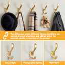 10 Pack Coat Hooks Wall Mount Heavy Duty Utility Retro Double Hooks for Hanging Coats,Hat, Towel, Key, Robe, Scarf, Bag, Cap (Gold)