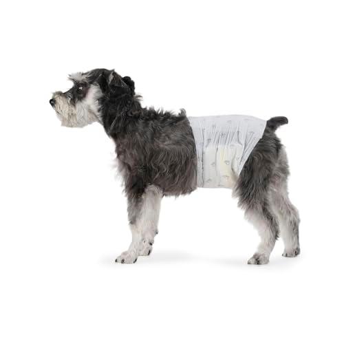 Amazon Basics Male Dog Diapers, Ultra Absorbent Disposable Wrap with Leak Proof Protection, Wetness Indicator, Secure Fit, Breathable, Medium, 30 Count