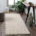 Livabliss Hapsburg Moroccan Shag Runner Area Rug,2'7" x 14',Beige