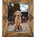 5x7 Farmhouse Picture Frame for Friend Dog Wedding Photos, Rustic Bamboo Frames with Stand, Horizontal or Vertical Display, 5 by 7 Decorative Photo Frame for Living Room Bedroom Decoration Unique Gift (Star)