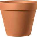 Deroma Terra Cotta Pot 8"