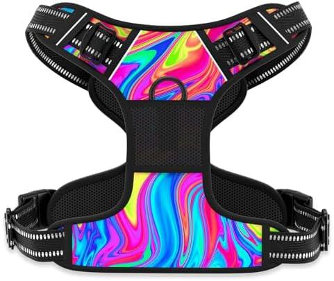 Rnivvi No Pull Dog Harness, Cute Reflective Medium Sized Puppy Kitten Harness, Adjustable Soft Padded Vest for Medium Dogs, Heavy Duty Pet Vest with Easy Control Handle for Walking, Rainbow Art, Medium
