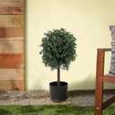 National Tree Company 2 ft Artificial Boxwood Single Ball Topiary, Realistic Fake Tree Potted Plant, Black Nursery Pot