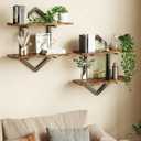 Floating Shelves, Set of 2 Wall Shelf, Wall Mounted Decorative Shelves, 2-Tier Modern Geometric Hanging Storage Shelf for Living Room, Bedroom, Kitchen, Office, Study (Rustic Brown + Black)