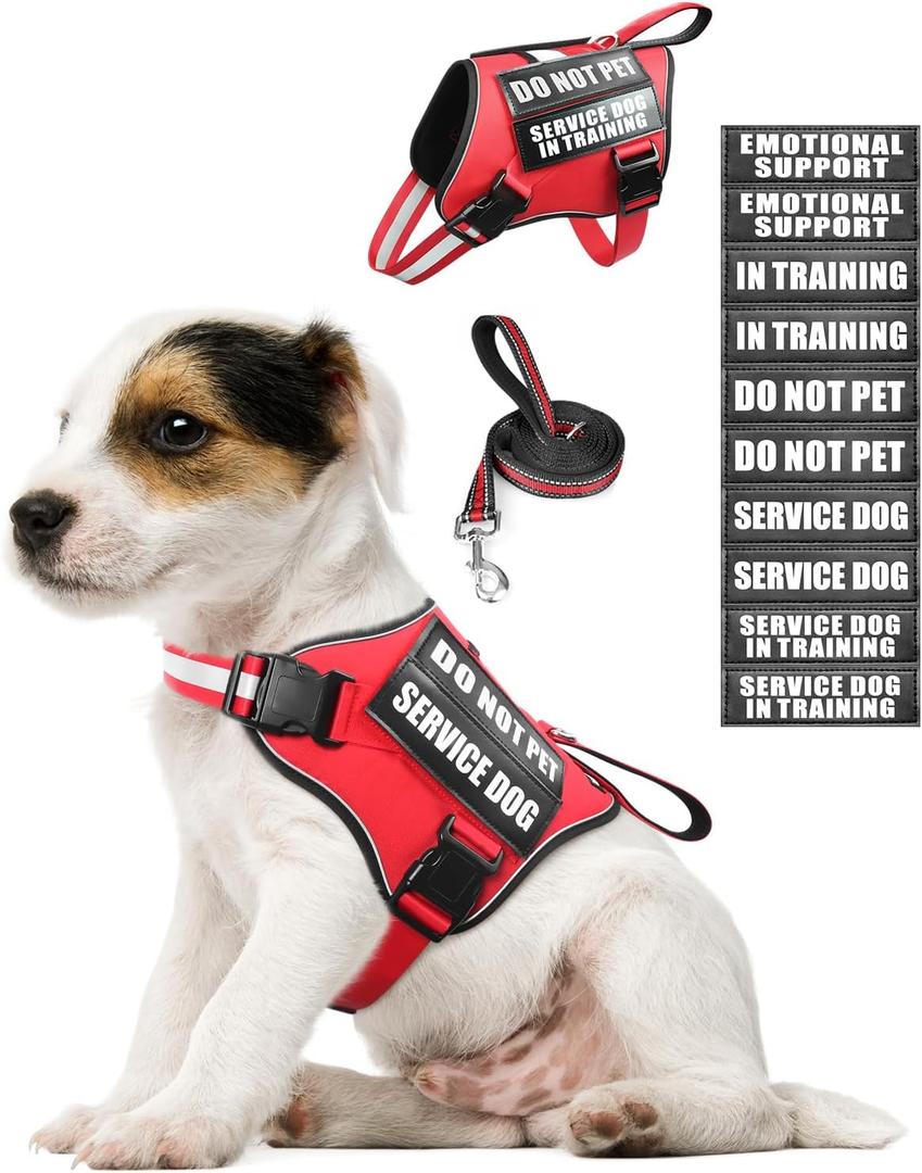 Service Dog Vest Harness and Leash Set+10 Patches for Puppy Small Dogs,Do Not Pet Emotional Support Dog Vest with 2 Soft Padded Handle for Everyday/Training (Red XS) (Extra-Small)