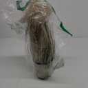 Artificial Grass Plants Onion Grass Outdoor 24.4" Tall Fake Shrubs Wheat Grass Fluffy Pampas Flowers in Pot Faux Greenery Stems Bushes for Indoor Home Decor Garden Fall Floral Arrangement