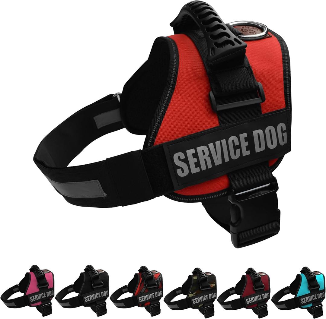 ALBCORP Service Dog Vest Harness  Reflective, No-Pull Harness with Handle & Comfy Mesh Padding  Sizes XXS-XL for Puppies, Small & Large Dogs  2 Removable Service Patches Included (Large, Red)