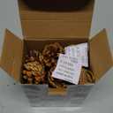 JOHOUSE 18PCS Hanging Natural Pine Cones (1.5"2.5"), Rustic Pinecones with Strings for Fall Garland, Christmas Tree Ornaments, Wreath Making, Vase/Bowl Filler Winter Decor (Multi Color)