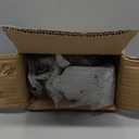 Jemeni Bird Book Ends for Shelves - Cute and Unique Bookends Decorative for Heavy Books - Heavy Duty Book Ends - White (one sided)