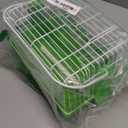 Prevue Pet Products Travel Cage for Birds and Small Animals, Green (SP1304GREEN)