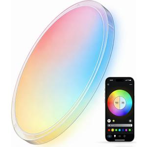 Smart LED Ceiling Light Fixture, Modern Dimmable Flush Mount Ceiling Light, Compatible with Alexa & Google Home, Lighting for Bedroom, Kitchen, Living Room, 12 Inch