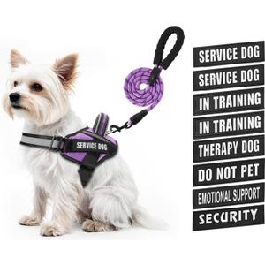 Service Dog Vest Harness and Leash Set, Animire in Training Dog Harness with 10 Dog Patches, Reflective Dog Leash with Soft Padded Handle for Small, Medium, Large, and Extra-Large Dogs (XXS, Purple)