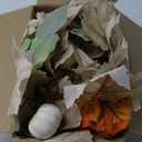 9ft 2Packs Thanksgiving Decorations for Home Thanksgiving Garland with White Pumpkins Maple Leaves Fall Garland for Outdoor Indoor Harvest Mantle Fireplace Table Centerpiece Fall Decor(18feet Total)