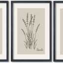 TQianJiang Set Of 3 Framed Vintage Botanical Prints Wall Art 16"11" Wildflower Pictures Wall Decor for Bedroom Bathroom Living Room Minimalist Line Drawing Neutral Tones Wall Hanging (Black)