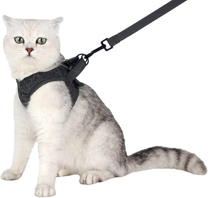 HEYWEAN Cat Harness and Leash - Ultra Light Escape Proof Kitten Collar Cat Walking Jacket with Running Cushioning Soft and Comfortable Suitable for Puppies Rabbits (Large, Dark Grey)