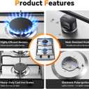 Gas Cooktop 2 Burner, 12 Inch Built-in Propane Cooktop, NG/LPG Dual Fuel Gas Stove Top with Thermocouple Safety Protection, Stainless Steel Stove for Apartment, Kitchen & RV