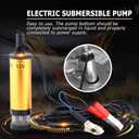DC 12V Submersible Water Pump, 12V Water Transfer Pump, 8500R/M Mini Water Pump, Small Sump Pump Portable, 12 L/min Oil Water Stainless Steel Pump for Kerosene (12v gold)