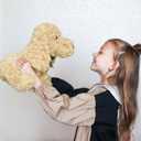 WEIGEDU Poodle Puppy Goldendoodle Stuffed Animal, Adorable Toy Dog Labradoodle Plush for Kids Boys Girls Birthday Easter Nursery Bedtime Gift, 11.8 Golden