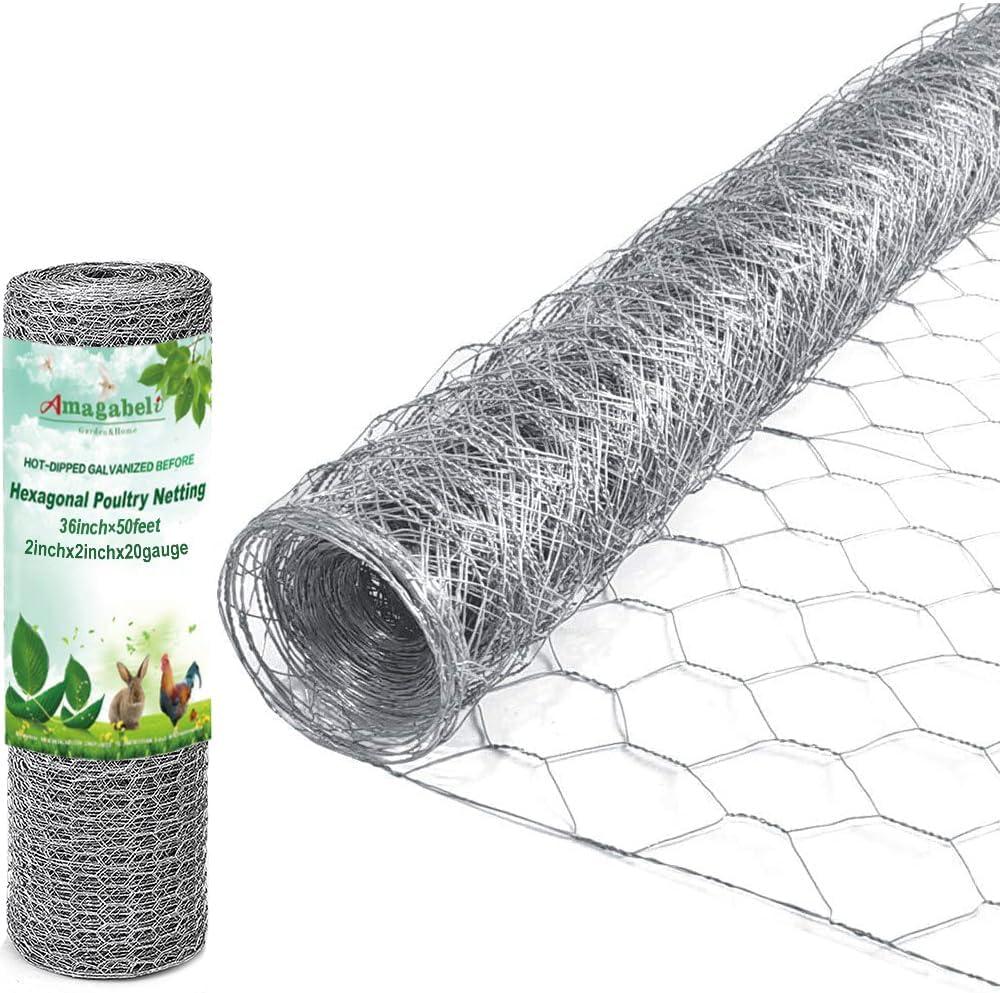 Amagabeli Chicken Wire Fencing Poultry Wire Netting 36inch x 50ft 2 Inch Hexagonal Galvanized Mesh Garden Fence Animal Barrier for Garden Protection Craft Rabbit Cage Dog Roll Chicken Coop Accessories