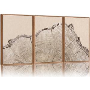 SIGNINART Large Tree Ring Framed Canvas Wall Art Set, Rustic Beige Nature Wooden Wall Decor, Neutral Wood Stump Artwork, Modern Art Prints for Bedroom Living Room Office 16"x24"x3