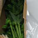 Moucuny 30 Pcs Christmas Norfolk Pine Branches with Lights 18" 24 Artificial Norfolk Stems Branches 6 Lighted Stems for Vases Xmas DIY Garland Wreath Home Centerpiece Table Decorations