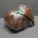 Capybara Backrest Cushion Relieves Sitting Fatigue Ideal for Dorm Rooms, Homes, and Offices