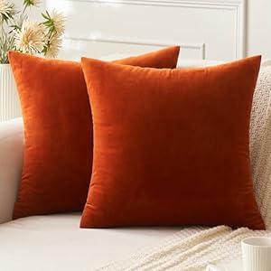 ANRODUO Pack of 2 Velvet Fall Pillow Covers Burnt Orange Throw Pillow Covers 18x18 Inch Decorative Pillows Euro Cushion Case Soft Solid square Cozy Modern Home Pillowcase for Sofa Couch Bed Room Decor
