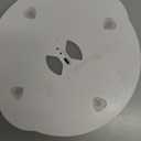 2026 Upgraded Resin Bubble Remover with Timing, 39 Minutes Efficient 99% Bubble Removal, 95 kPa Resin Vacuum Chamber, 2L Epoxy Resin Bubble Remover Machine for Resin Molds Arts Crafts (Blue)