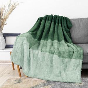 PAVILIA Fluffy Sherpa Throw Blanket Ombre | Gradient Plush, Soft, Fuzzy, Decorative Accent Throw Blanket for Couch Sofa Twin Bed | Cozy Warm Decorative Furry Faux Fur Blanket, 60x80 Inches Green