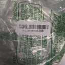 Yungyan 100 Pcs Mini Dessert Plates Cupcake Plates 3.5 Inch Cream Scalloped Rim Mini Paper Dessert Dish for Cake DIY Baking Party Wedding Birthday