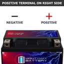 Mighty Max Battery YTX14L-BS -12 Volt 12 AH, 200 CCA, Rechargeable Maintenance Free SLA AGM Motorcycle Battery