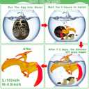 4 Pack 4.5" Large Dinosaur Hatching Surprise Eggs Dinos Eggs Toys for Kids Toddlers, Grow in Water Dinosaur Party Favors Goodie Treat Bag Basket Stuffers Gifts Birthday Classroom Prizes for Boys Girls (Black)