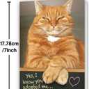 16 x Funny Dad Fathers Day Card from Cat, Humor Cat Dad Gifts on Father's Day, Gift for Pet Cats Lover
